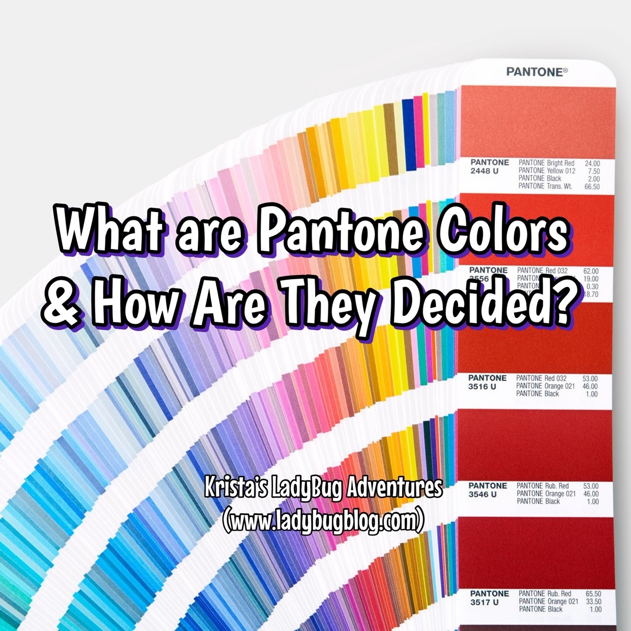 Kristas Ladybug Blog — Pantone Colors 9730