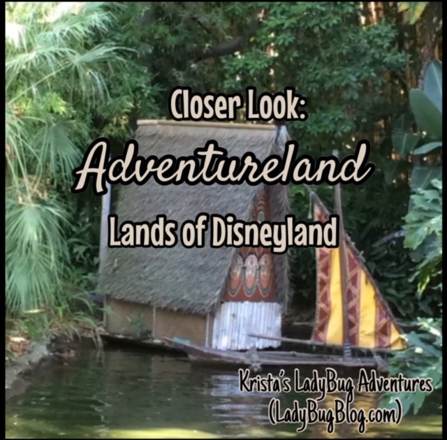 Closer Look Adventureland Ladybug Blog