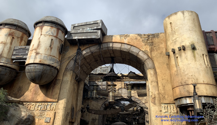 Star Wars Galaxy's Edge | LadyBug Blog